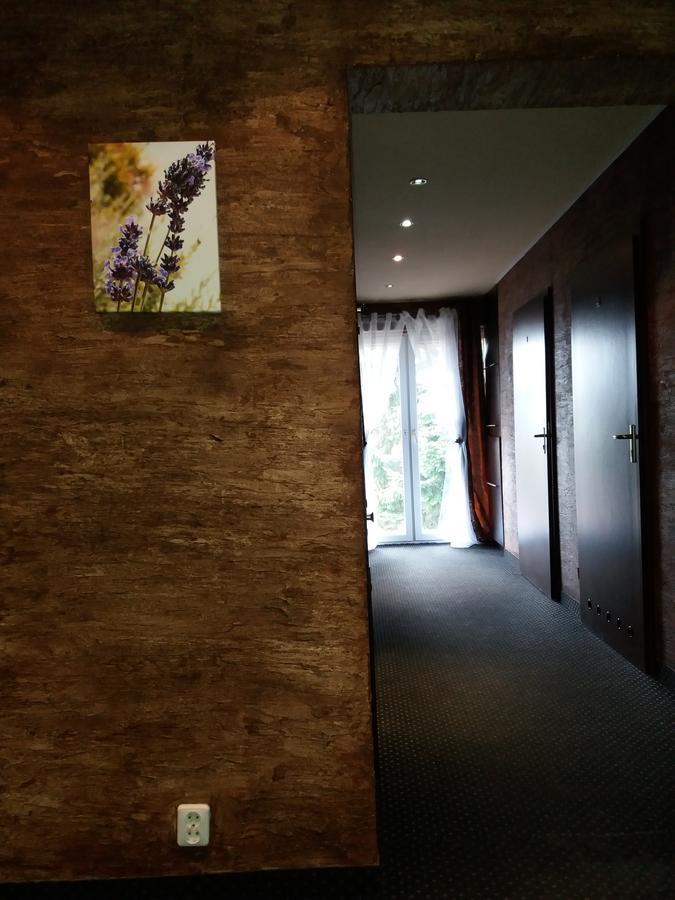 Lawendowy Hostel Краков Экстерьер фото